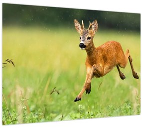 Tablou - Haită (70x50 cm)