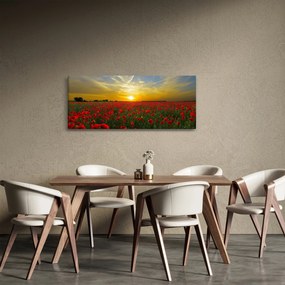 Tablou cu câmp cu maci (120x50 cm)