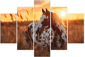 Tablou - Cal la Apus (150x105 cm)