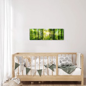 Tablou - Răsărit în pădure (cu ceas) (90x30 cm)