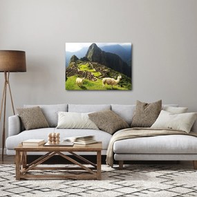 Tablou - Machu Picchu (70x50 cm)