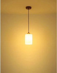 Globo 15977H - Lustră suspendată pe cablu ROWENA 1xE27/60W/230V stejar/alb