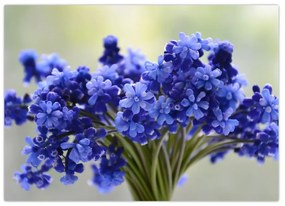 Tablou buchet cu flori albastre (70x50 cm)