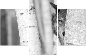 Tablou - Lupul din pădure (90x60 cm)