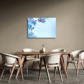 Tablou - Fluture pe flori de orhidee, albastru (70x50 cm)