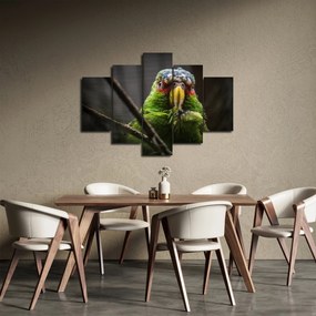 Tablou cu papagal (150x105 cm)