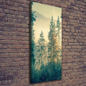 Print pe canvas Ceață peste pădure