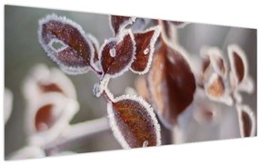 Tablou - Detaliu frunze (120x50 cm)