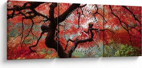 Tablou - Arțarul japonez roșu, Portland, Oregon (cu ceas) (90x30 cm)