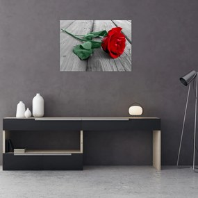 Tablou pe sticlă - Trandafir roșu cu tulpină verde (70x50 cm)