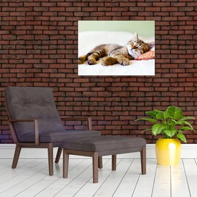 Tablou - Pisicuța adormită (70x50 cm)