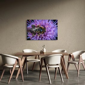 Tablou cu albina pe floare (90x60 cm)