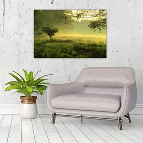 Tablou - Pădurea trezită (90x60 cm)