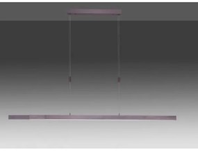 Lustră LED dimabilă pe cablu Paul Neuhaus 2568-24 ADRIANA LED/14W/230V