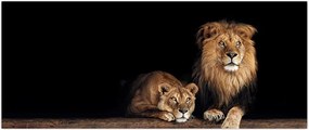 Tablou - Leu și leoaică (120x50 cm)