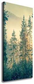 Print pe canvas Ceață peste pădure