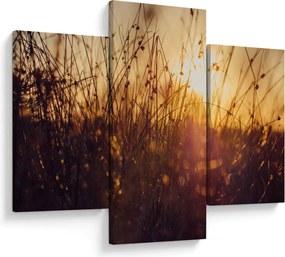 Tablou - Câmp la apus de soare (90x60 cm)