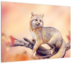 Tablou - Vulpea (70x50 cm)