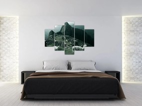Tablou - Lamas la Machu Picchu în Peru (150x105 cm)