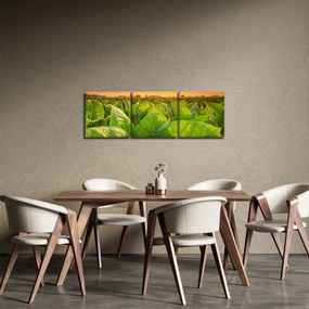 Tablou - Câmp (cu ceas) (90x30 cm)