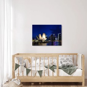 Tablou Singapore nocturn (70x50 cm)