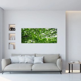 Tablou - privire în coroanele pomilor (120x50 cm)