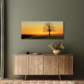 Tablou - Copacul în câmp (120x50 cm)