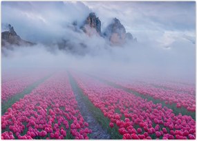 Tablou - Peisaj cu câmpuri de lalele (70x50 cm)