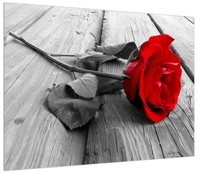 Tablou cu trandafirul roșu închis (70x50 cm), în 40 de alte dimensiuni noi