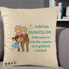 Cadou pentru Bunici - Perna Personalizata Bunicii Iubirea Infloreste cu Nepoata Teal, 40x40 cm, Bej, Husa Detasabila, Perna Inclusa, BEKZ®