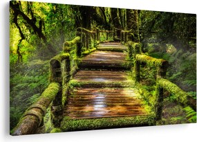 Tablou cu scări într-o pădure tropicală (90x60 cm)