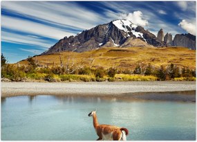 Tablou - Parcul Național Torres del Paine (70x50 cm)