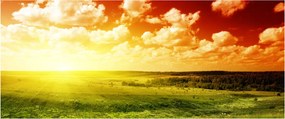 Tablou cu luncă cu soarele strălucitor (120x50 cm)