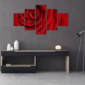 Tablou - detaliu de  trandafir (125x70 cm), în 40 de alte dimensiuni noi