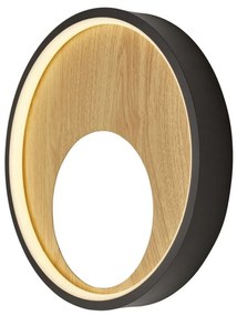 Aplica de perete LED design ambiental Curio