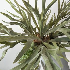 Aranjament floral mare OBICE DAVID EARS LOTUS PLATYCERUM