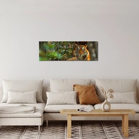 Tablou - Tigru odihnindu -se (cu ceas) (90x30 cm)