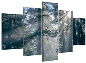 Tablou cu copaci și soarele translucind (150x105 cm)