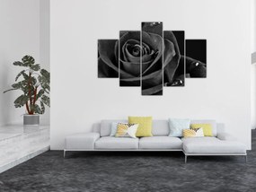 Tablou - Trandafir roșu aprins (150x105 cm)