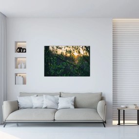 Tablou - Soarele strălucind printre crengile copacilor (90x60 cm)
