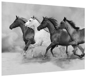 Tablou alb negru cu cai (70x50 cm), în 40 de alte dimensiuni noi