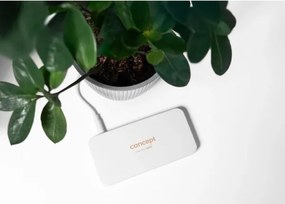 Concept KZ2010 - Oglindă cosmetică PERFECT SKIN cu LED, 1,5 W/5 V, 300 mAh, albă