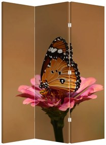 Paravan - Fluture pe floare (126x170 cm)