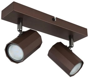 Aplica, Plafoniera cu 2 Spoturi directionabile JAMES bronz