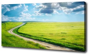 Print pe pânză Calea în lunca