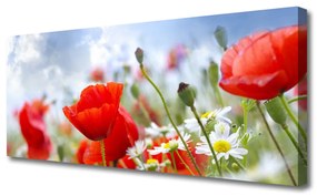 Tablou pe panza canvas Maci Margarete Floral Roșu Galben Alb