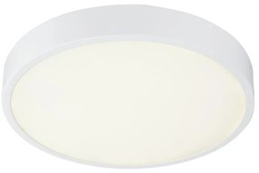Globo 12364-30 - LED plafonieră dimabilă LED/28W/230V
