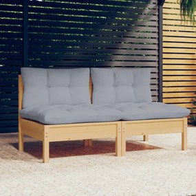 3095991 vidaXL Canapea de grădină cu 2 locuri, cu perne gri, lemn masiv pin