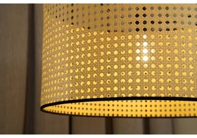Lustră aplicată ROLLER Duolla RATTAN 1xE27/15W/230V d. 45 cm bej/negru