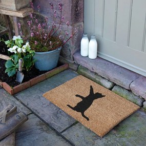 Covoraș de intrare din fibre de nucă de cocos 40x60 cm Cat – Artsy Doormats